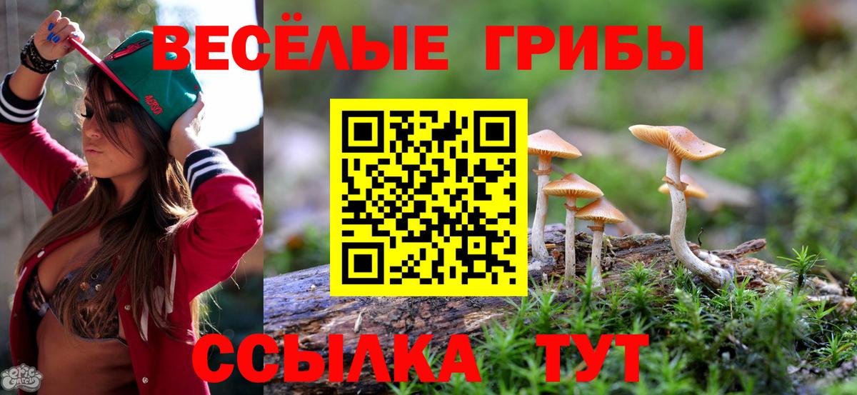 Медногорск  Псилоцибиновые грибы прущие грибы  Вход с VPN  Псилоцибиновые грибы мицелий 
