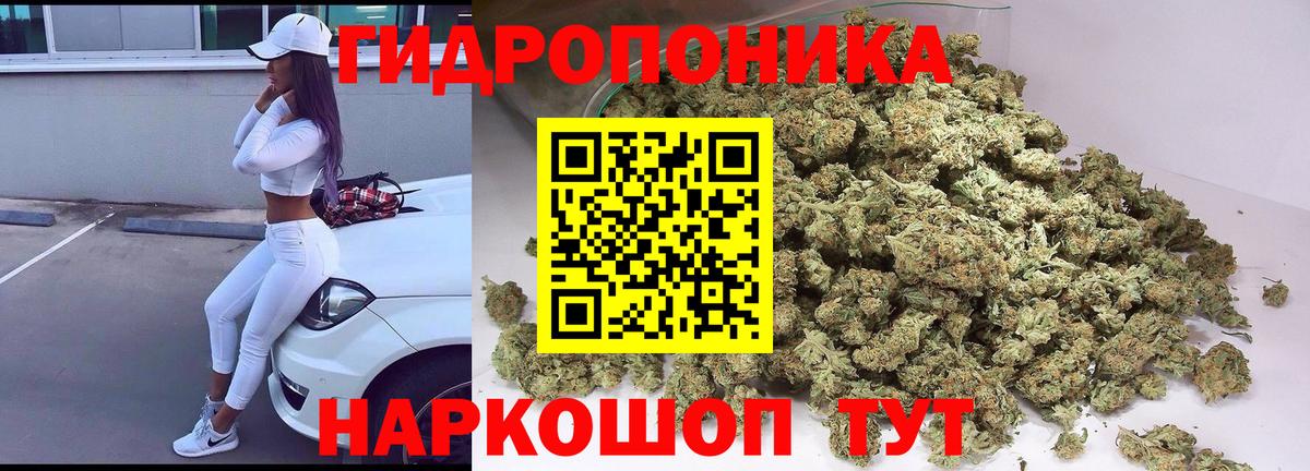 Каннабис Amnesia  Канабис конопля  Конопля ГИДРОПОН  Медногорск  Бошки марихуана планчик  Вход с VPN 